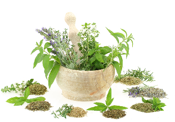 植物提取物的组成